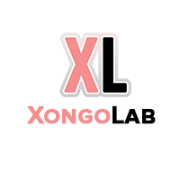 XongoLab Technologies LLP logo